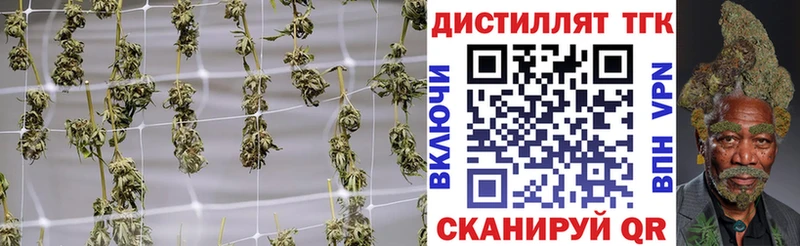 ТГК Wax  Купить где  Котельнич 