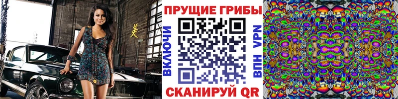 Псилоцибиновые грибы мицелий  Купить закладки  Котельнич 